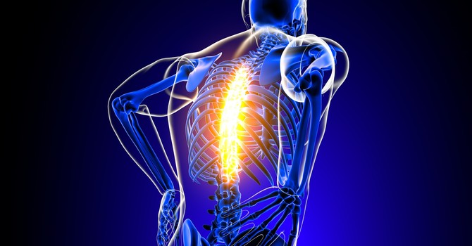 Why Spinal Health is Essential for Overall Wellness