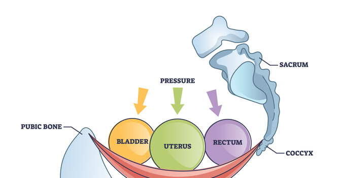 7 Signs Your Pelvic Floor May Be Asking for Help